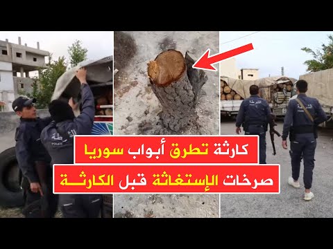 كارثة كبرى تطرق أبواب سوريا وصرخات الإستغاثة البيئية تسمع على امتداد الجغرافيا السورية