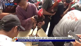 Puluhan Komunitas Pecinta Ayam Jago di Makassar Gelar Kontes Ayam Nusantara #LintasiNewsPagi 11/12 screenshot 4