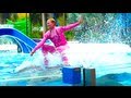 DOLPHIN SURFING DOLPHIN SURFING