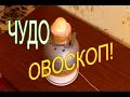 КАК СДЕЛАТЬ ОВОСКОП СВОИМИ РУКАМИ//МОЯ ЛЮБИМАЯ УСАДЬБА