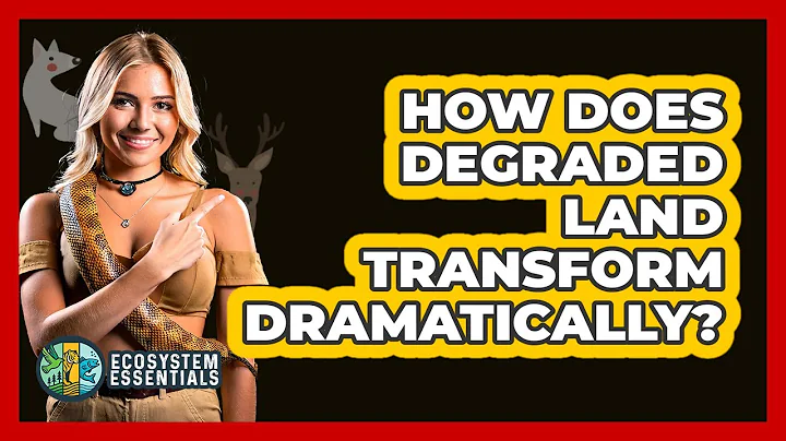 How Does Degraded Land Transform Dramatically? - Ecosystem Essentials