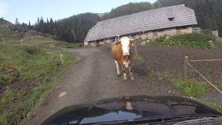 Across The Straniger Alm