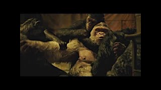 Caesar Kills Winter - Death Scene War For The Planet Of The Apes 2017 