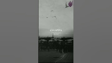 القارئ راجح العيسائي قراء اليمن 🇾🇪 🎧💙