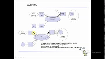 IP packet delivery and terminologies
