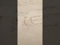 Writing on sand  ecrire sur le sable ep43