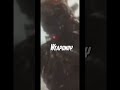 Mv Ghidorah vs Mv Mechagodzilla