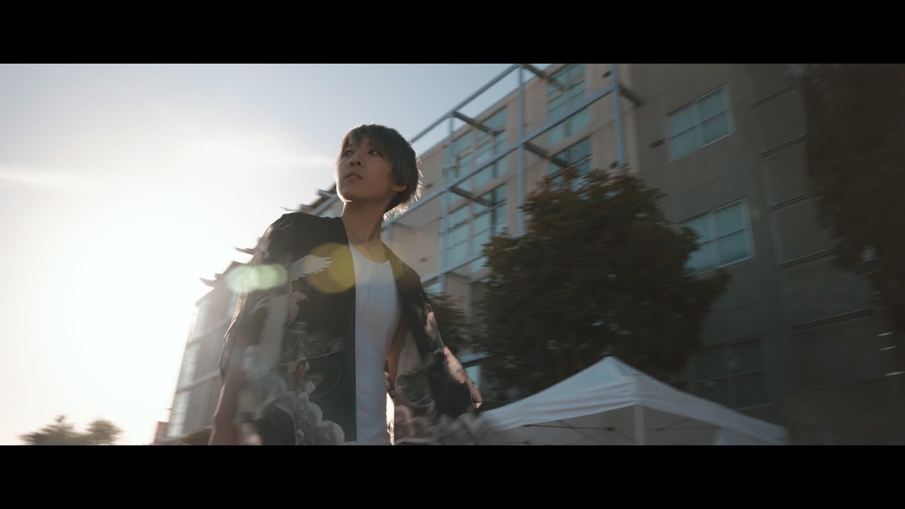 SF Cherry Blossom | Sony a6300 Sigma 16mm F1.4 Zhiyun Crane V2