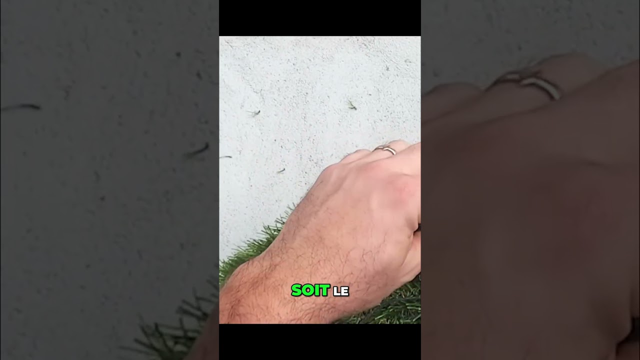 Aperçu vidéo du contrôle du bord d’un rouleau avant une jonction de gazon.