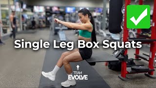 Single Leg Box Squats (Tutorial + Tips) | Team Evolve