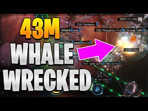Wrecked 43M Whale Over $5K Fleet Loss | Infinite Galaxy