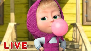 ماشا والدب LIVE STREAM!‍️ هوايات ماشا  Masha and the Bear