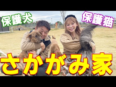 【さかがみ家】パンツ見えちゃうって！押し倒されてメチャクチャにされました…。