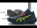 不负责球鞋评测：Asics Gelburst 25