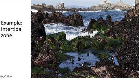 Ecological Tolerance and Succession