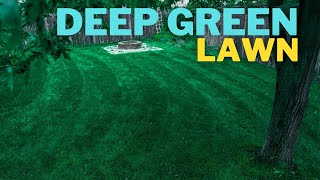 Make your ugly lawn DARK GREEN in 3 days