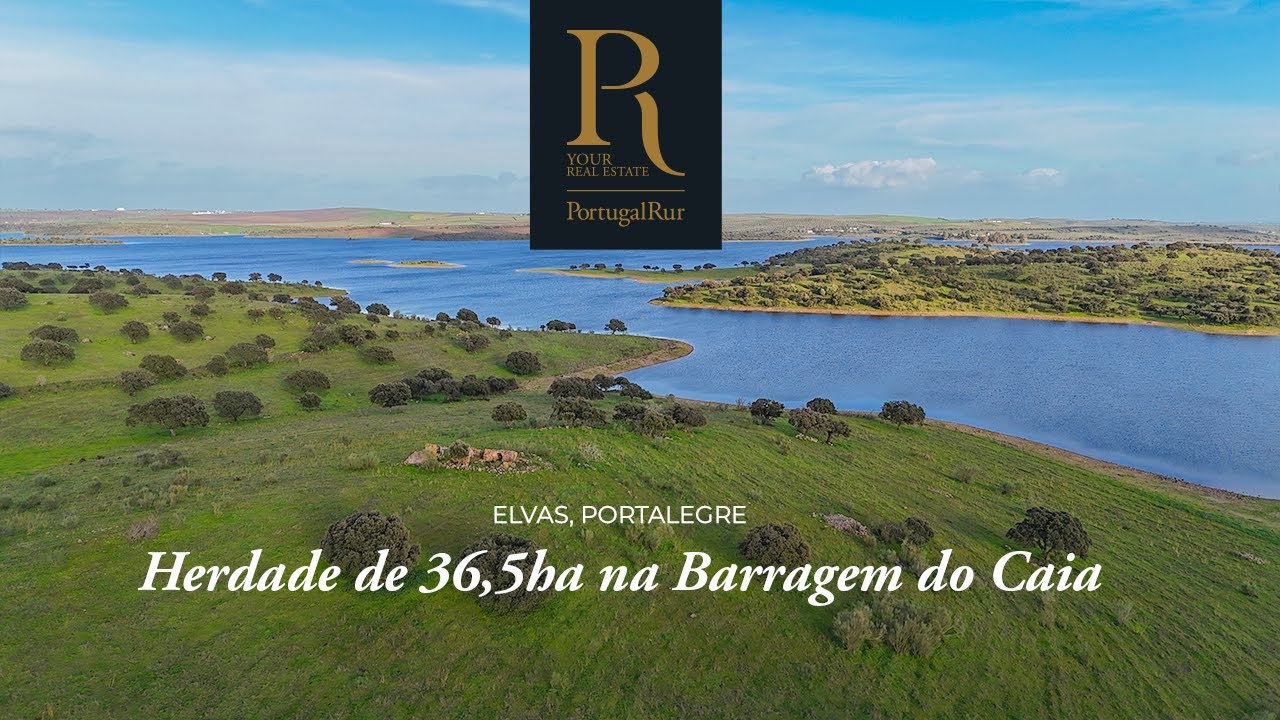 Herdade com 36,5ha junto à Barragem do Caia | REF. FG478 #venda #realestate #alentejo #nature