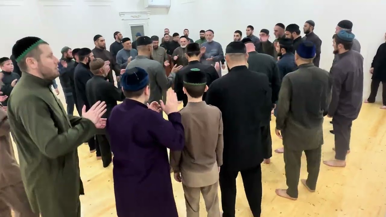 22 ноября 2024 г.