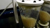 bubble magus skimmer c 6 h 2 ocean bio pellets reactor youtube