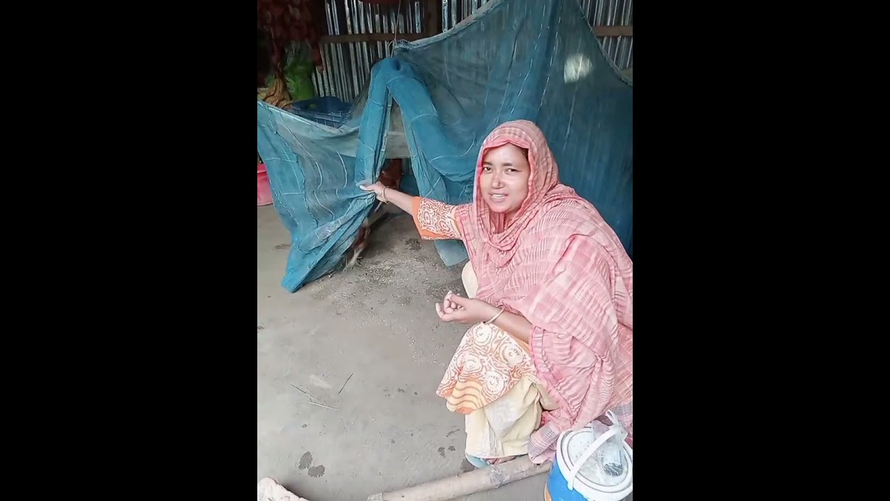 সাহিদার সংসার এ নতুন অতিথির আগমন