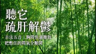 【角音清和】心裡憋著太多事？給情緒一個出口｜東方五音・竹影清風｜Chinese Zen Music