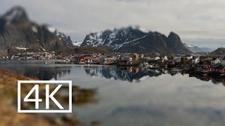 Lofoten Islands, Norway | AMBIENT WALK in Reine  4K