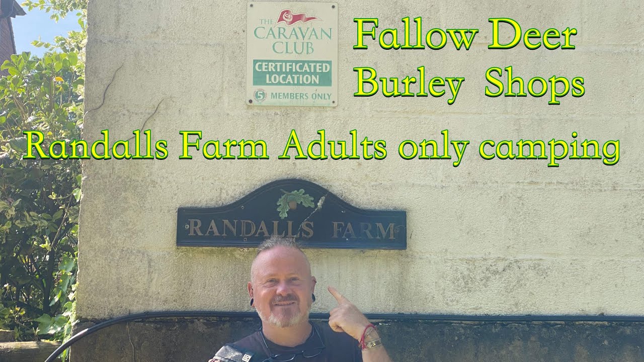Randalls farm Adults only CL site Burley, Burley walk, Relaxing Fallow Deer