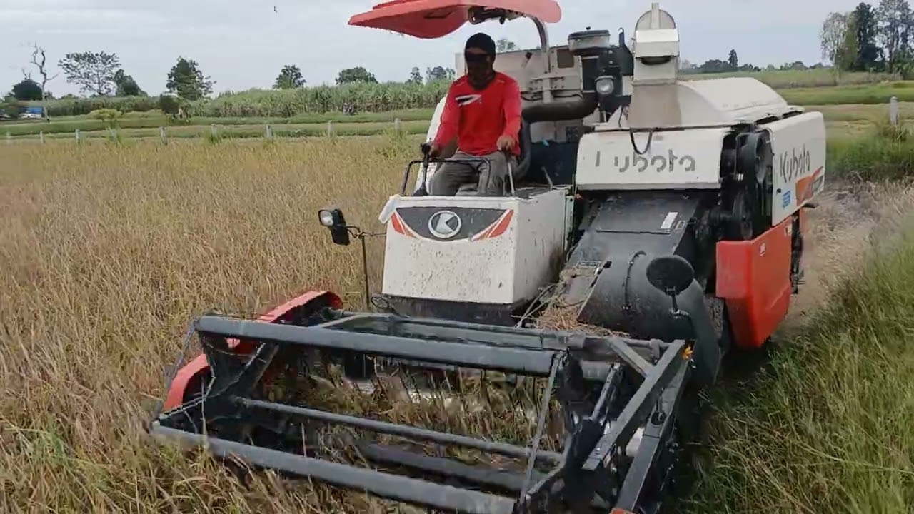 โป้งคนล่าฝัน