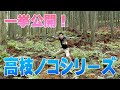 【高枝鋸】枝打ちに超便利！シルキーの高枝鋸を一挙紹介！