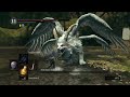 Dark Souls Remastered Kaladin 44