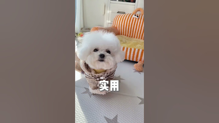 冬天狗狗也怕冷，能穿能盖的小披风太实用了！ #萌宠出道计划 #萌宠好物 #狗狗衣服 #科学养宠攻略 #比熊 抖音小助手 DOU+小助手