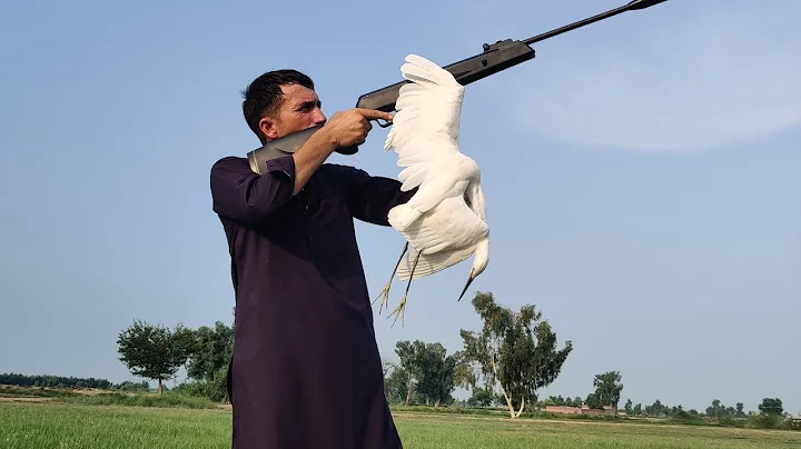 10 Insane Hunting Headshots Vol 4 birds hunting with Springer airgun shadow made in Chaina