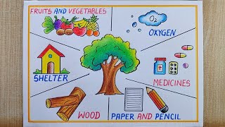 Things that we get from plant drawing| Importance of tree drawing|Things that get from plant drawing