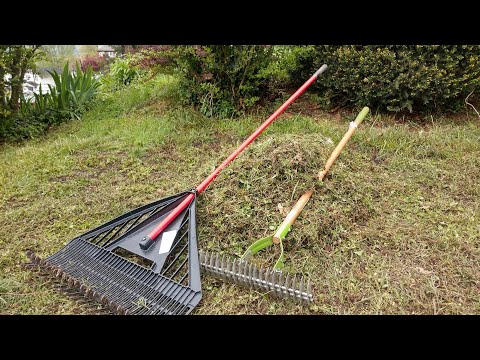 Video: Gras verbranden om riet te verwijderen - Vuur gebruiken om van riet af te komen is een goed idee