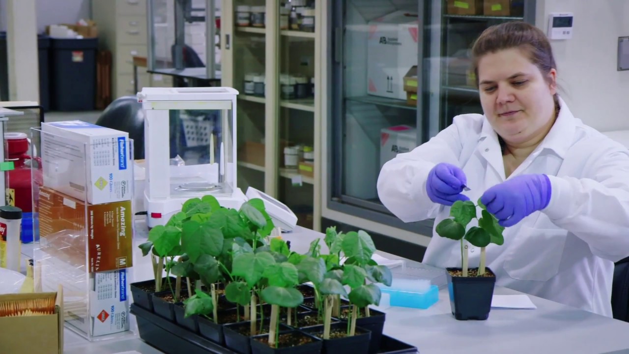 Molecular Breeding & Genomic Technology at Eurofins BioDiagnostics