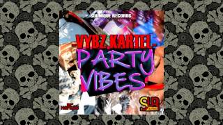 Vybz Kartel - Party Vibes