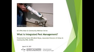 What is IPM?