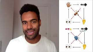 Why All Language Learners Should Learn IPA (International Phonetic Alphabet)