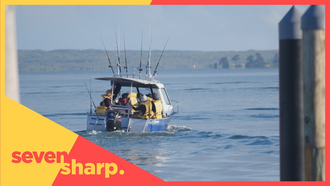 Should boat licences be introduced in New Zealand?