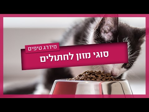 וִידֵאוֹ: האם גורי חתולים יכולים לאכול אוכל קשה?