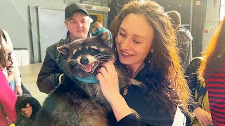 Adventures of Timofey raccoon at the Reptilium 2022 exhibition by Raccoon TV 54,509 views 2 years ago 8 minutes, 50 seconds