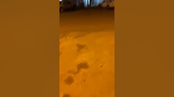تلاوة خاشعة للشيخ صالح الشمراني أبو عاصم رحمه الله تعالى من سورة الأعراف