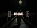 Japanese Ghost Story: The Ubume Will Ask You to Hold Her Baby #Shorts