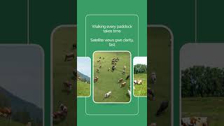 Farming gets easier when you can see the whole farm