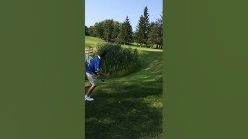 Over the Pond - Josh Cohen