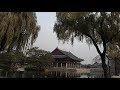 Visita a Palacio Changdeokgung