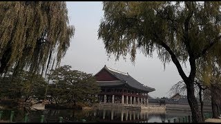 Visita a Palacio Changdeokgung