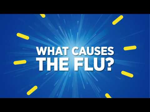 What Causes The Flu Flu Causes Prevention Theraflu What Causes The Flu Flu Causes Prevention Theraflu