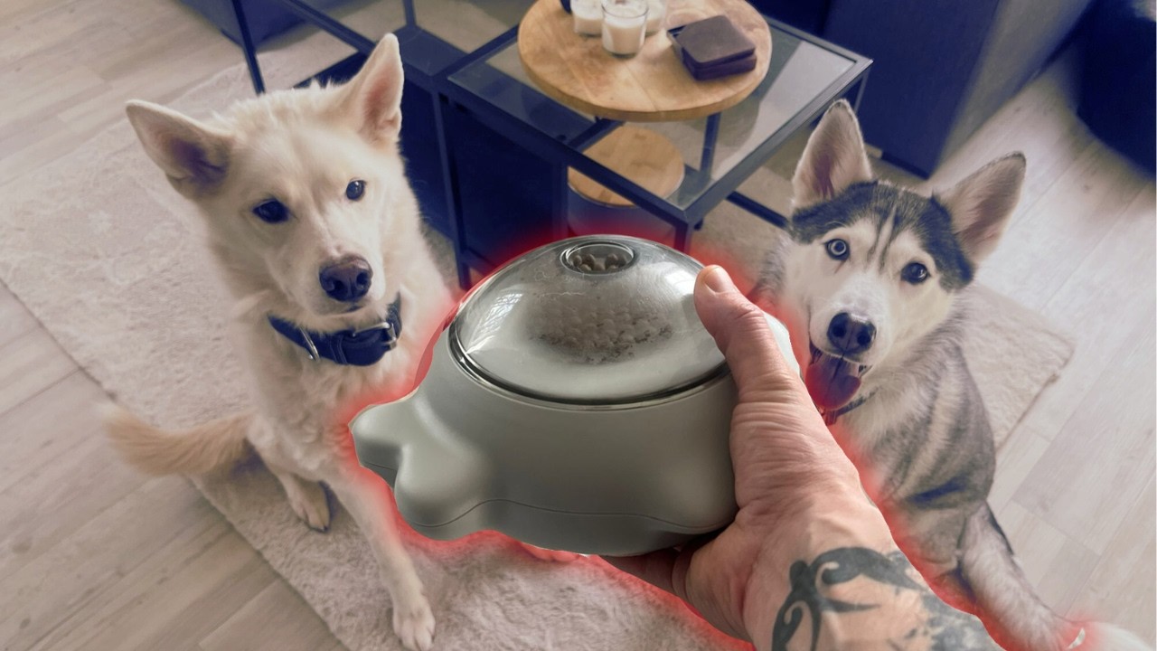 DAS soll Husky sicher sein??