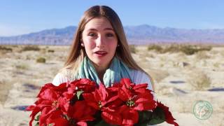 MTU Presents - We Need A Little Christmas